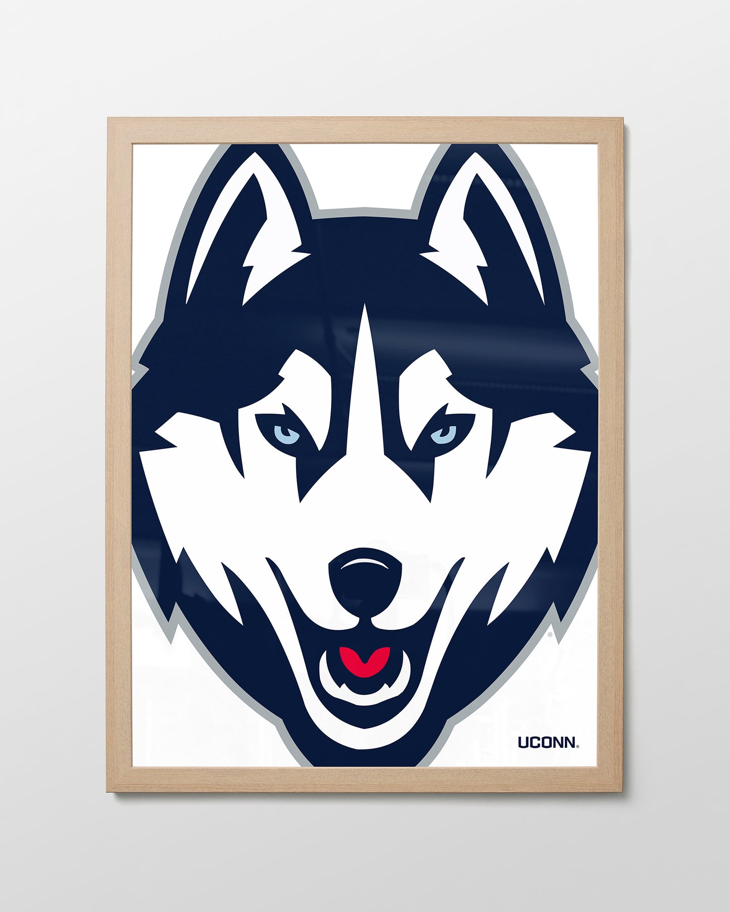 UConn Husky Close-Up