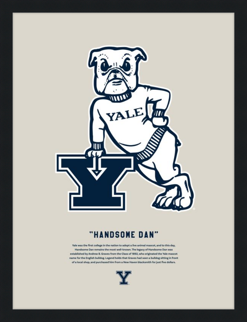 Handsome Dan