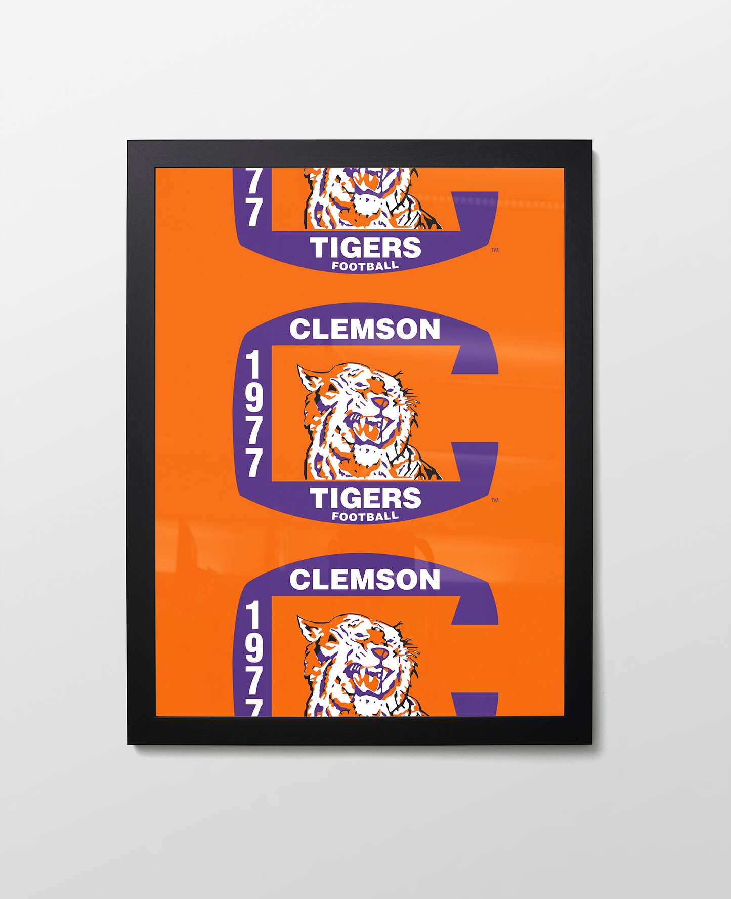 Clemson 1977 Tigers
