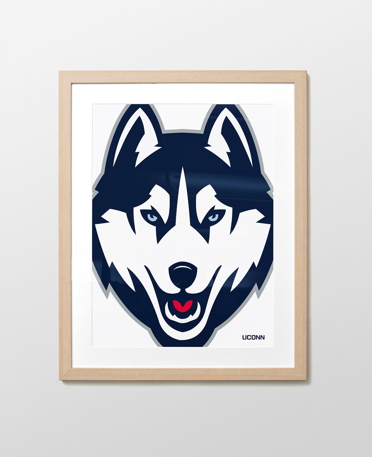 UConn Husky Close-Up