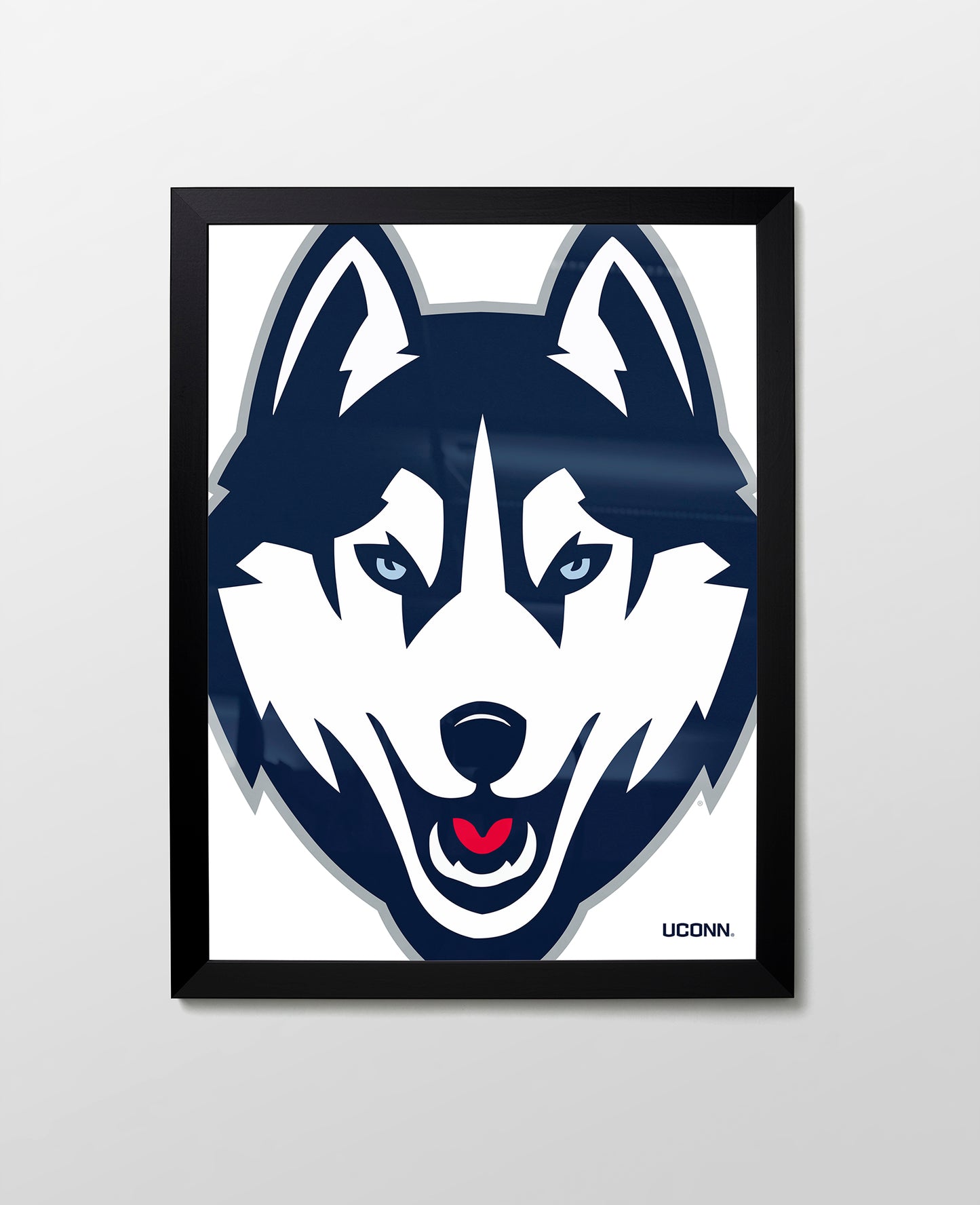 UConn Husky Close-Up
