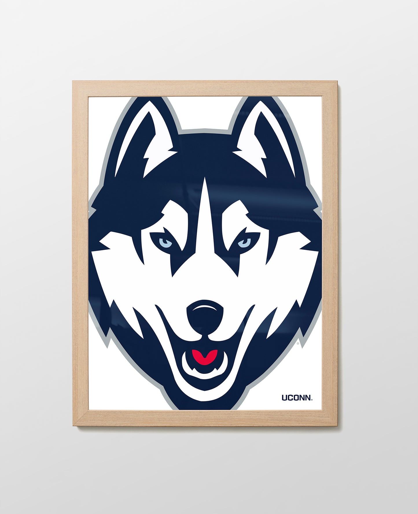 UConn Husky Close-Up