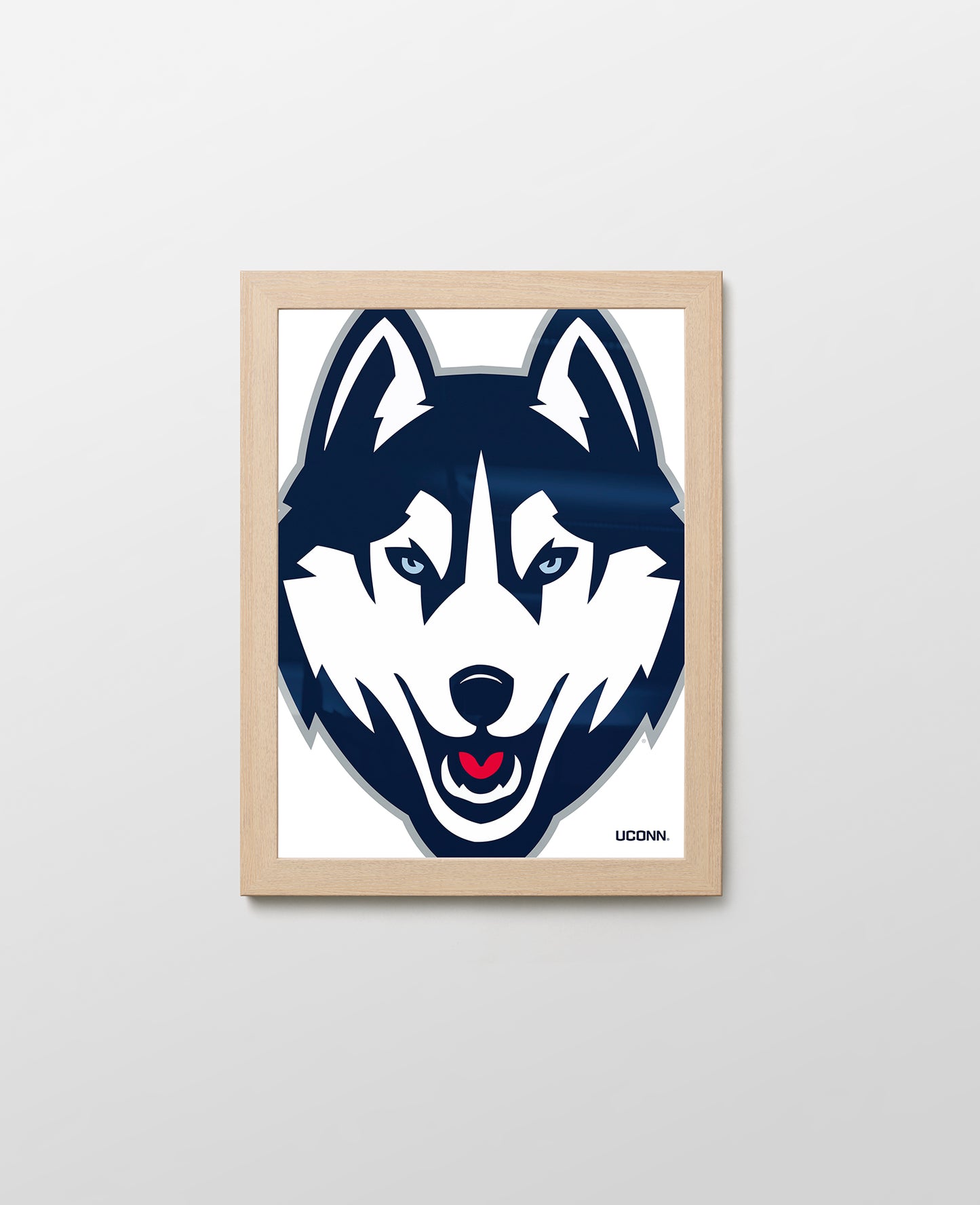 UConn Husky Close-Up