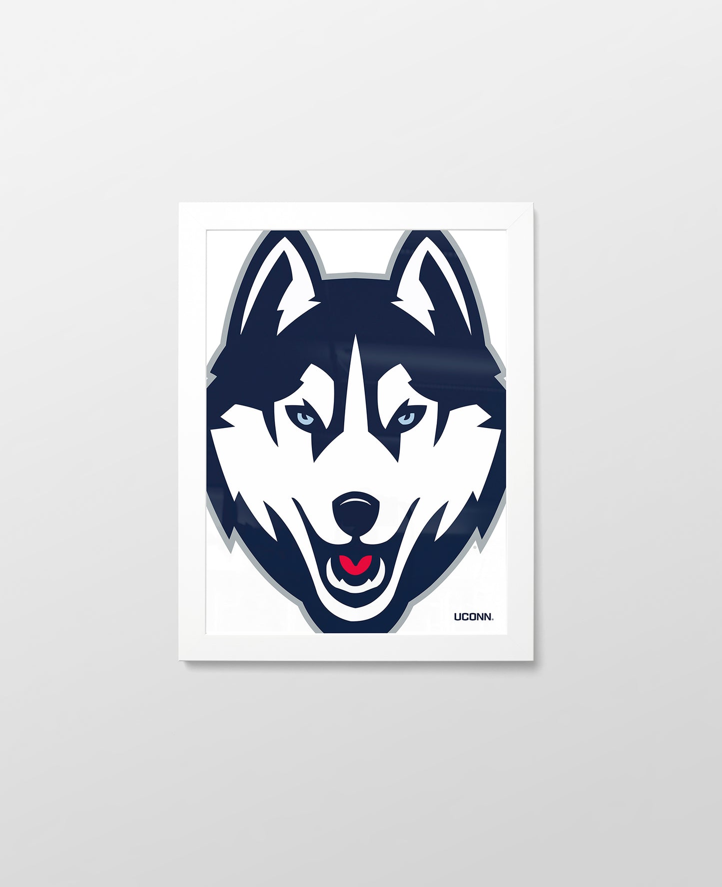 UConn Husky Close-Up