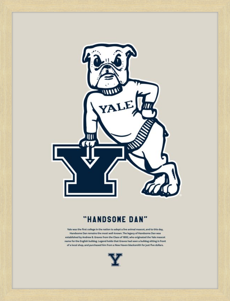 Handsome Dan