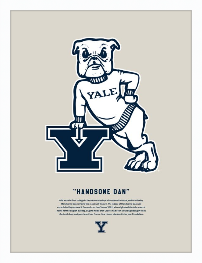 Handsome Dan